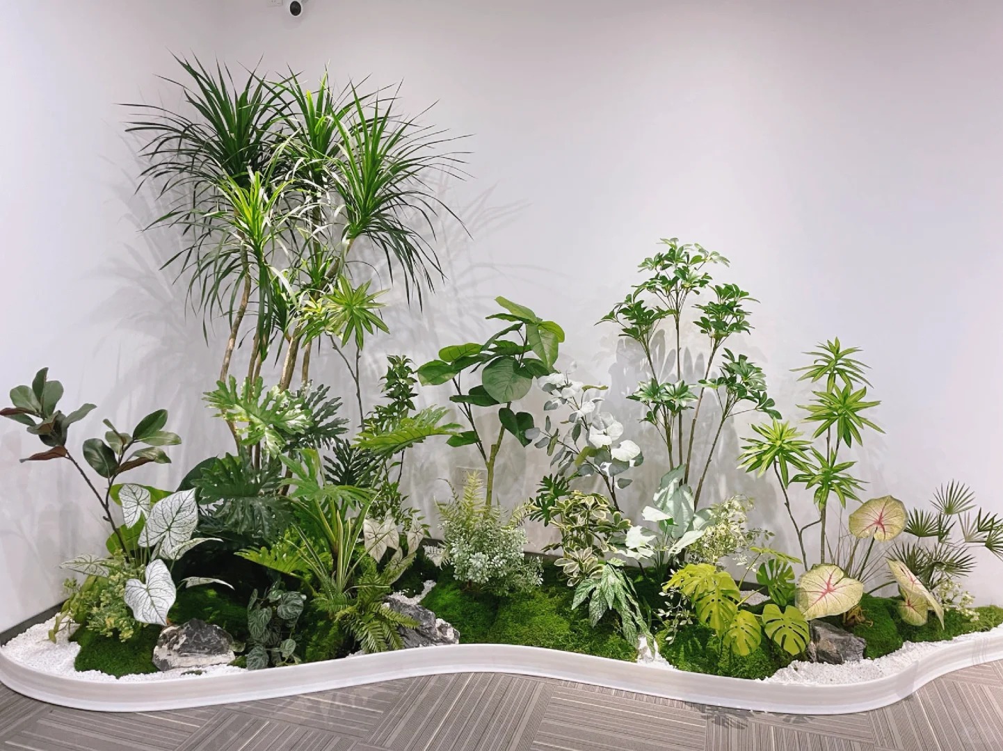 体验余姚花木出租，畅享绿色环绕的惬意